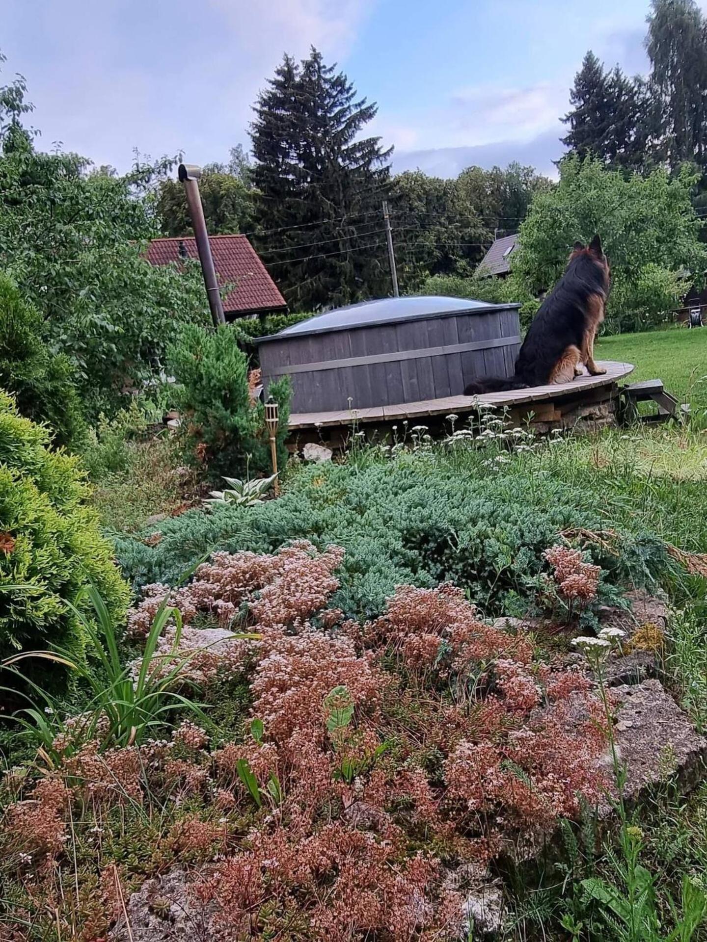 Norwegian Saunahouse Haapse Eksteriør billede