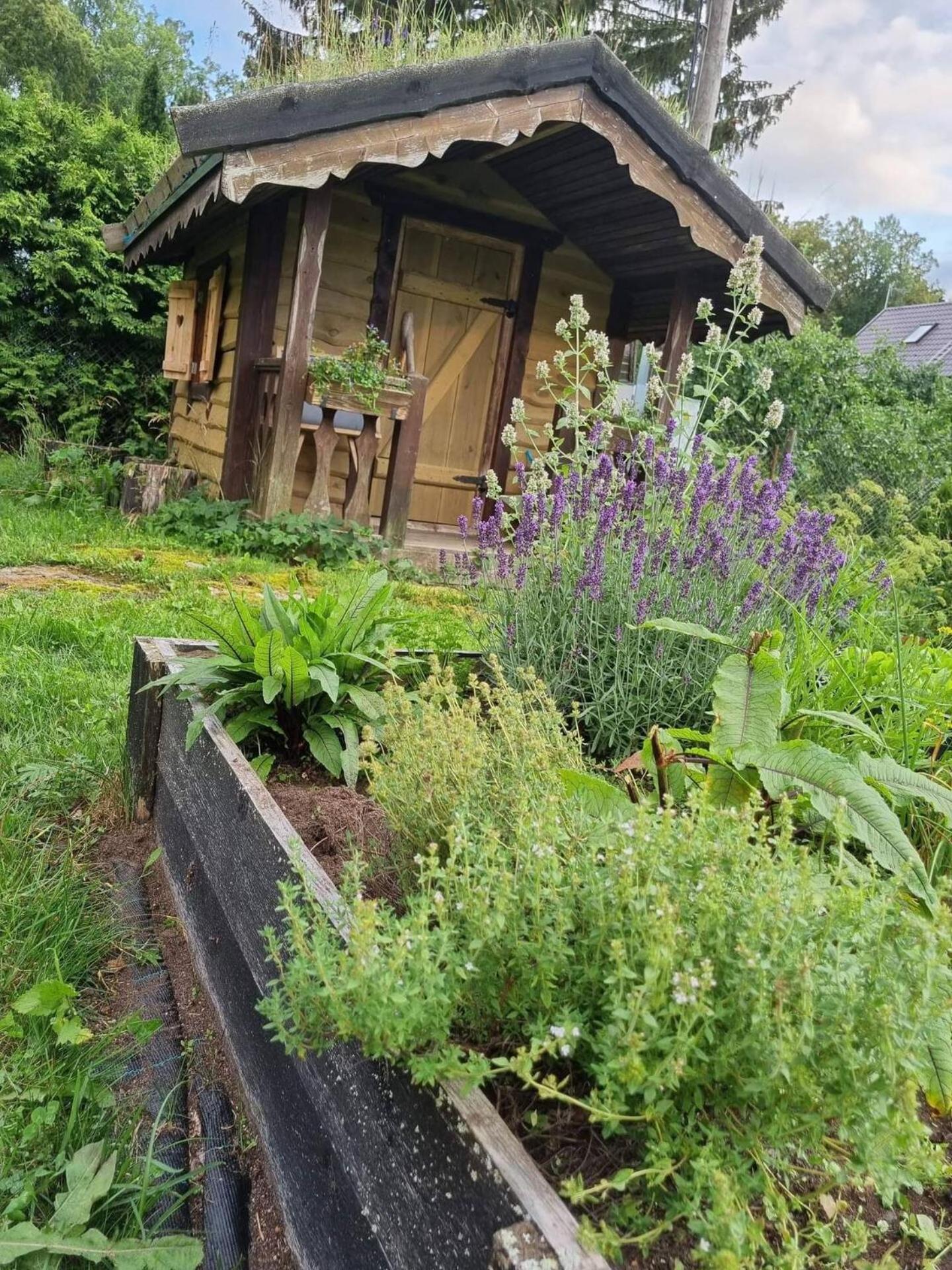 Norwegian Saunahouse Haapse Eksteriør billede