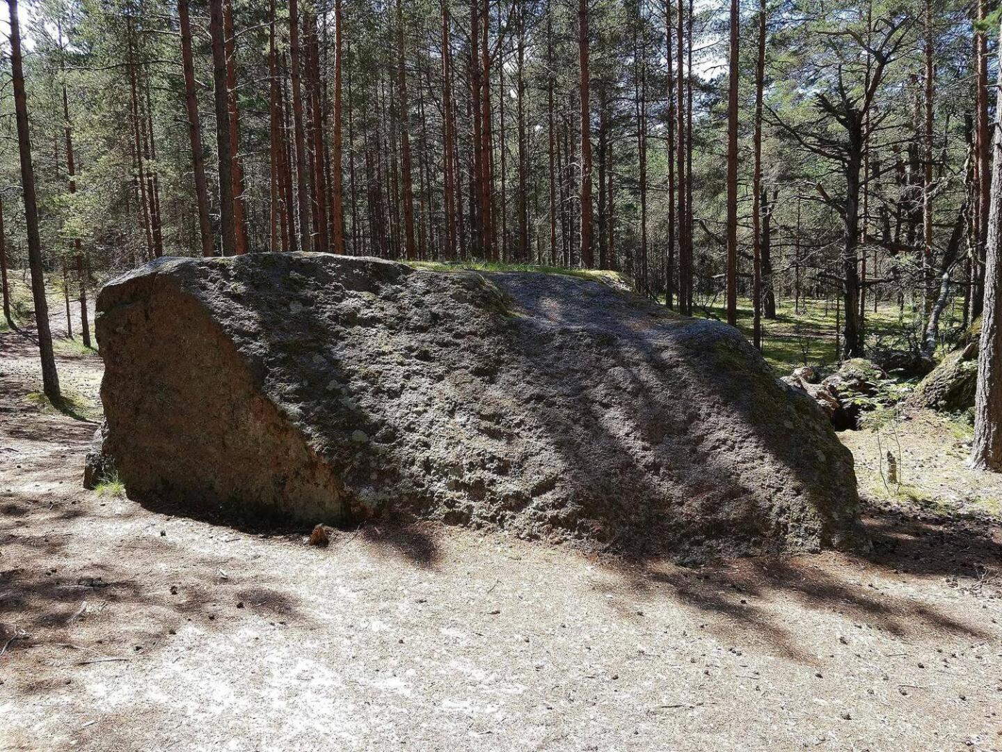 Norwegian Saunahouse Haapse Eksteriør billede