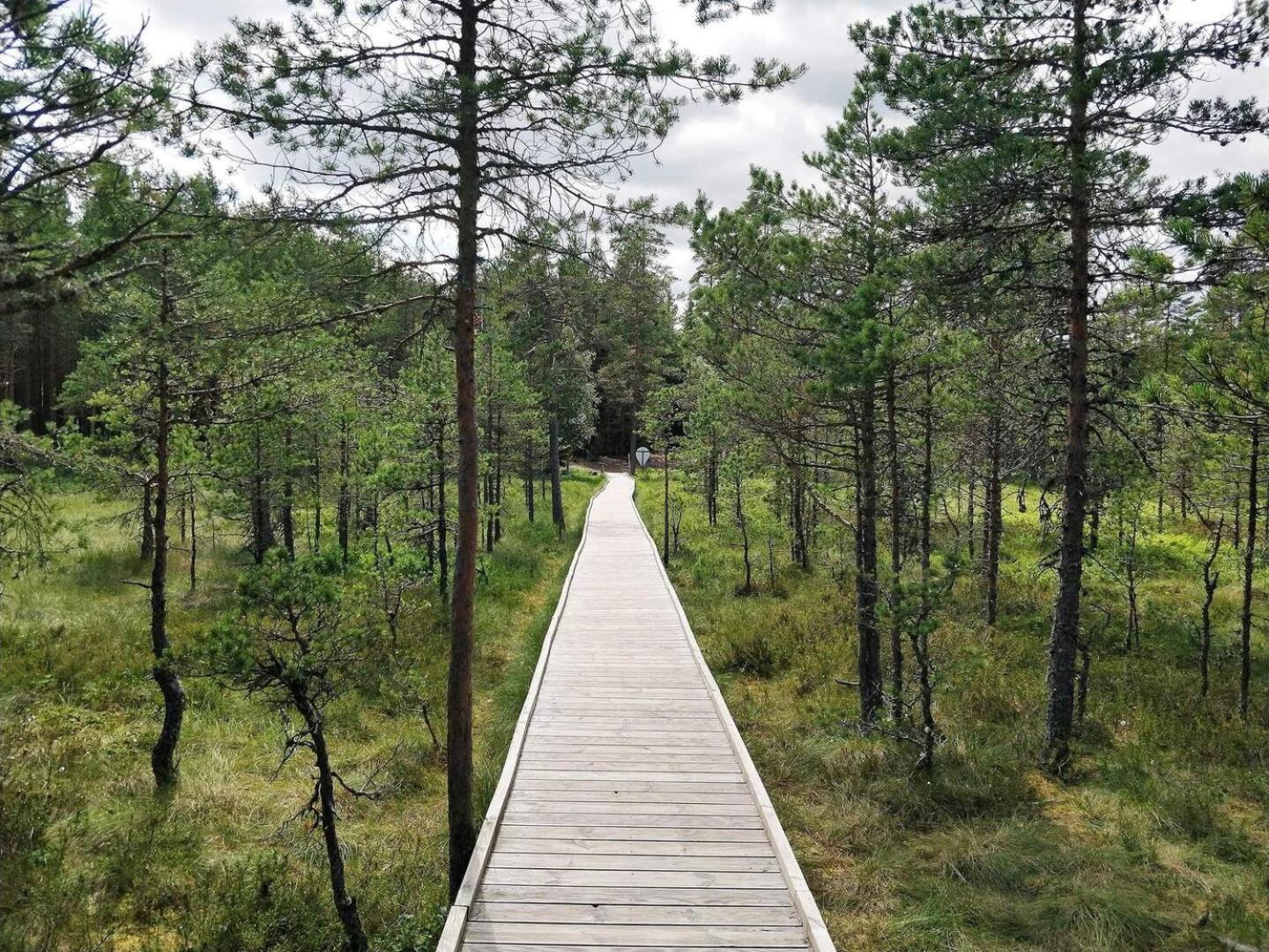 Norwegian Saunahouse Haapse Eksteriør billede